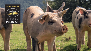 PORC FERMIER